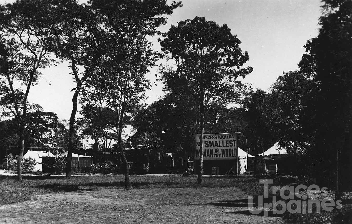 Exhibitions humaines, 1931